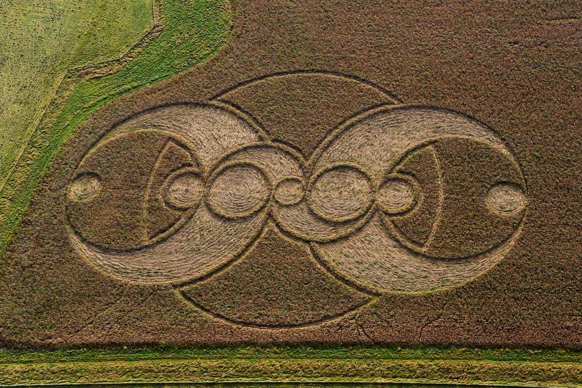 Programs concentric circles
